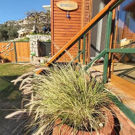 Mubella Butik Tiny House Holiday home *